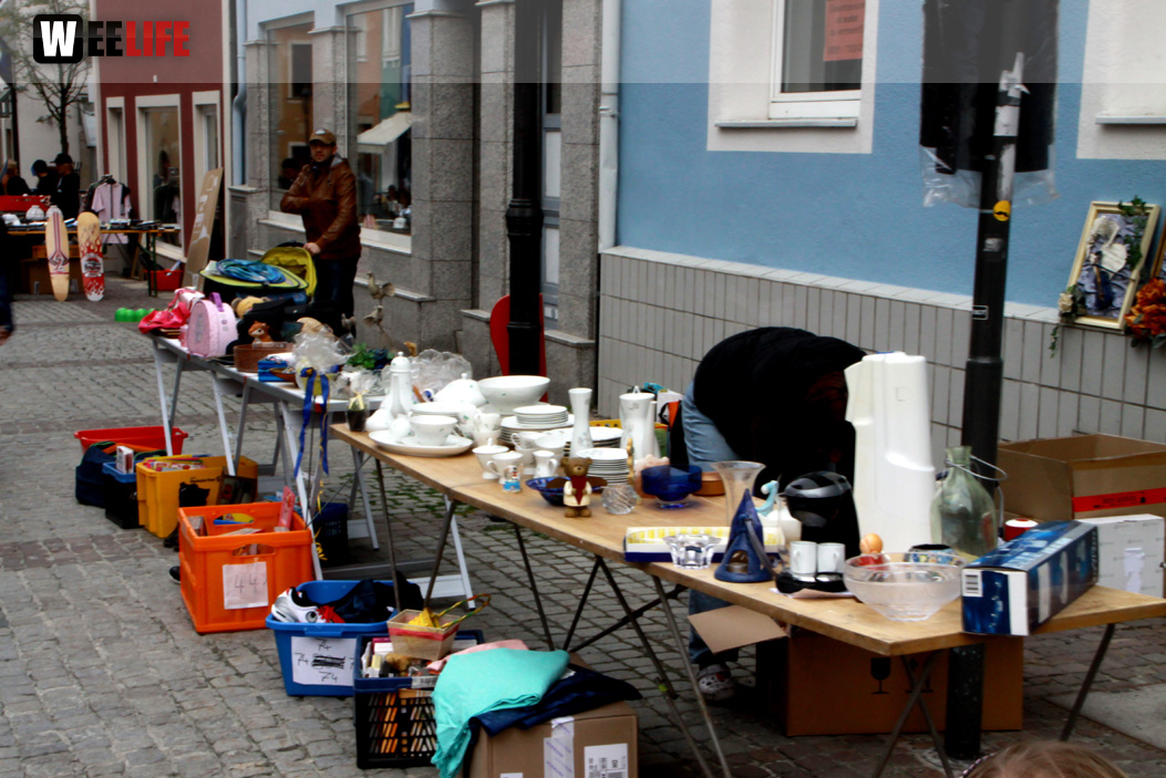 Hofer Frühling 2014 und Meastro Handwerkermarkt