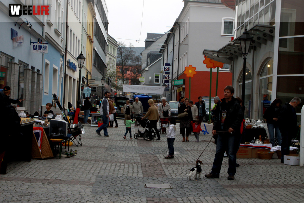 Hofer Frühling 2014 und Meastro Handwerkermarkt