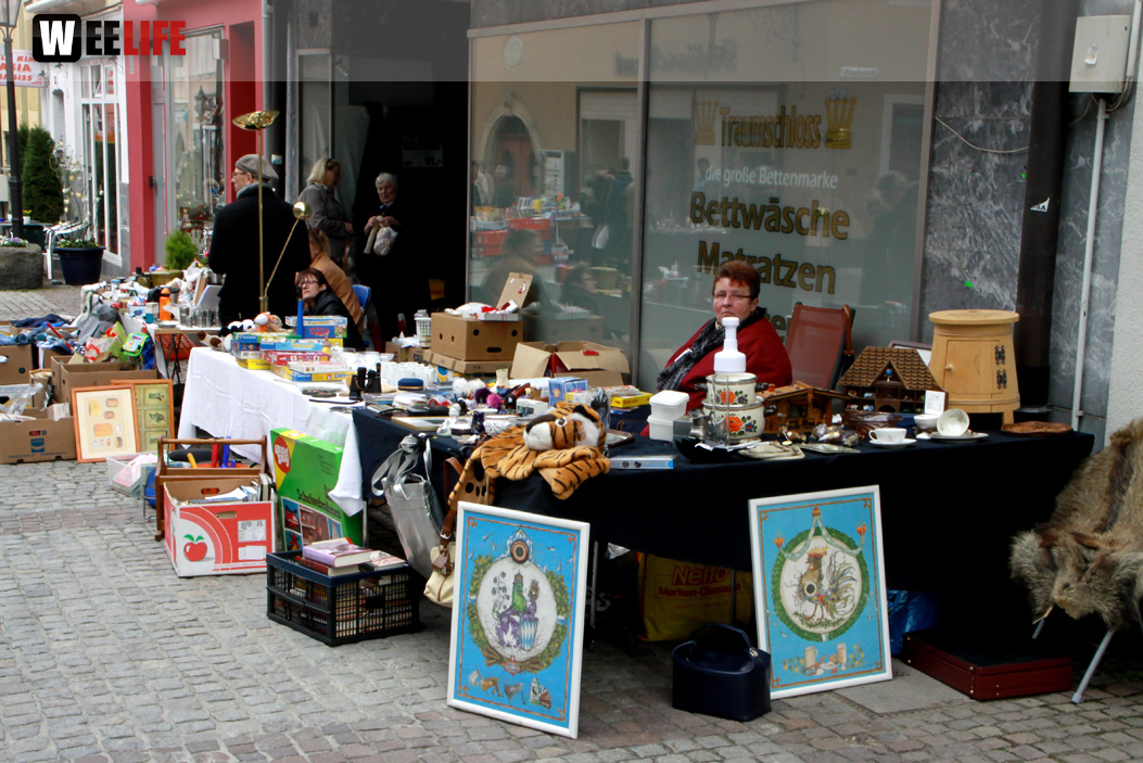 Hofer Frühling 2014 und Meastro Handwerkermarkt