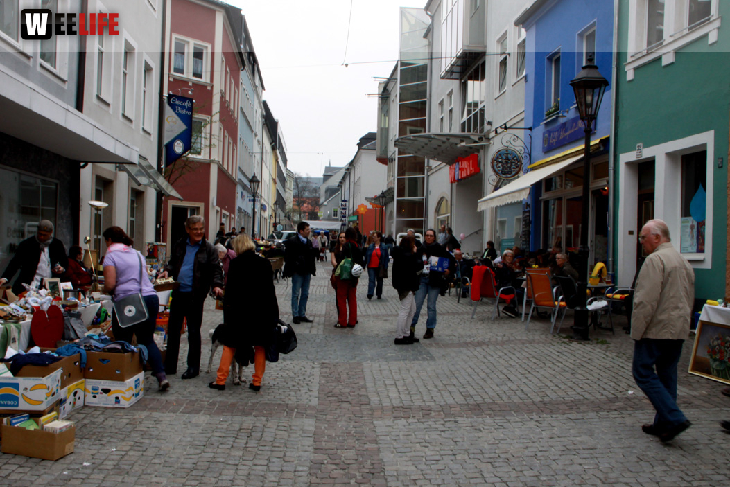 Hofer Frühling 2014 und Meastro Handwerkermarkt