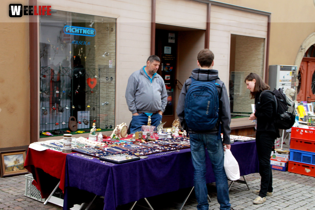 Hofer Frühling 2014 und Meastro Handwerkermarkt
