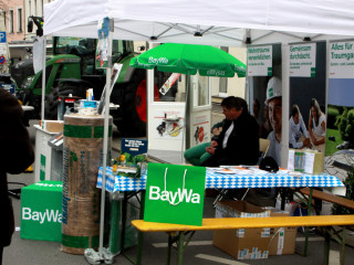 Foto 70203 im Album