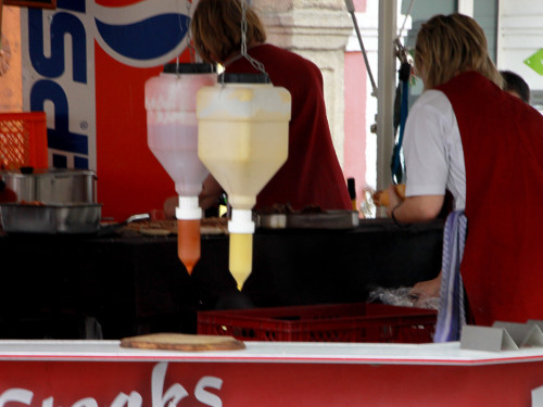 Hofer Frühling 2014 und Meastro Handwerkermarkt – Foto 30