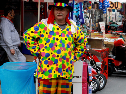 Hofer Frühling 2014 und Meastro Handwerkermarkt – Foto 31