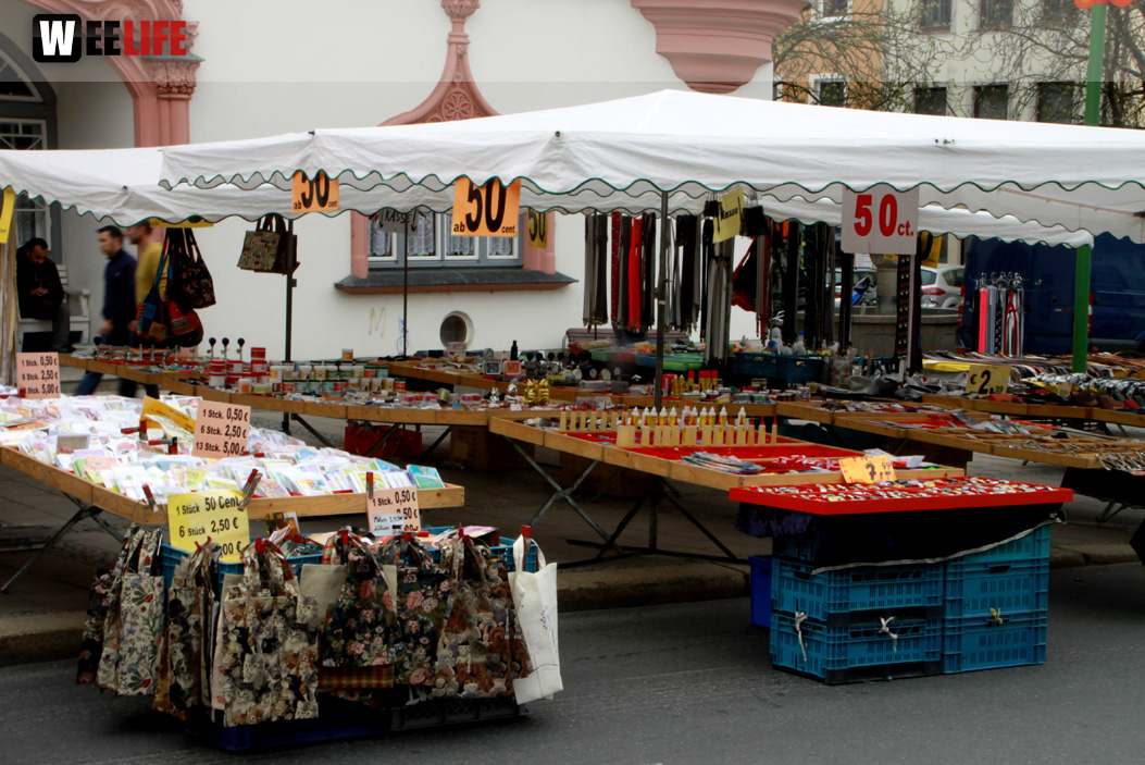 Hofer Frühling 2014 und Meastro Handwerkermarkt