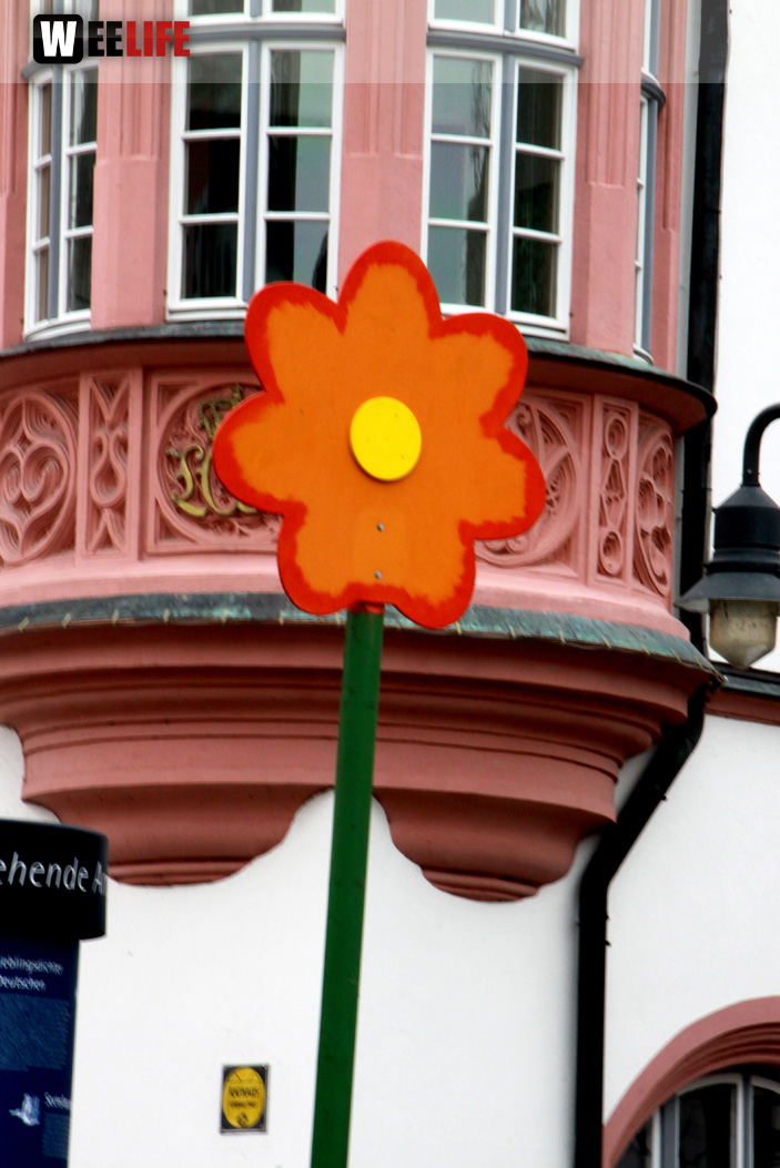 Hofer Frühling 2014 und Meastro Handwerkermarkt
