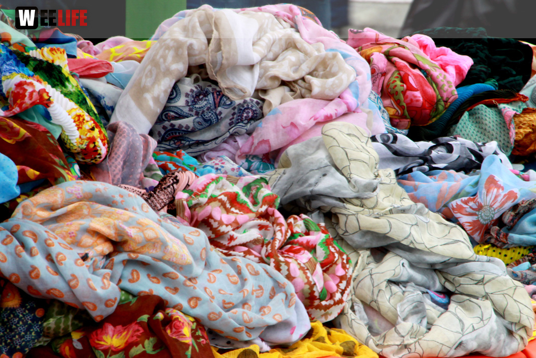 Hofer Frühling 2014 und Meastro Handwerkermarkt