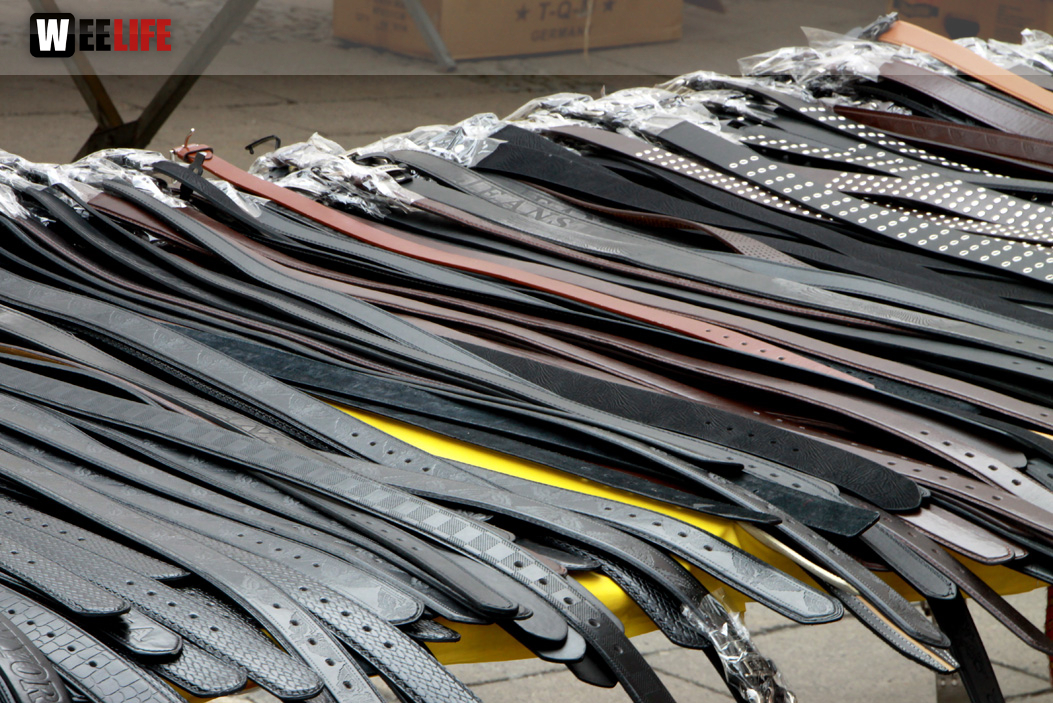 Hofer Frühling 2014 und Meastro Handwerkermarkt