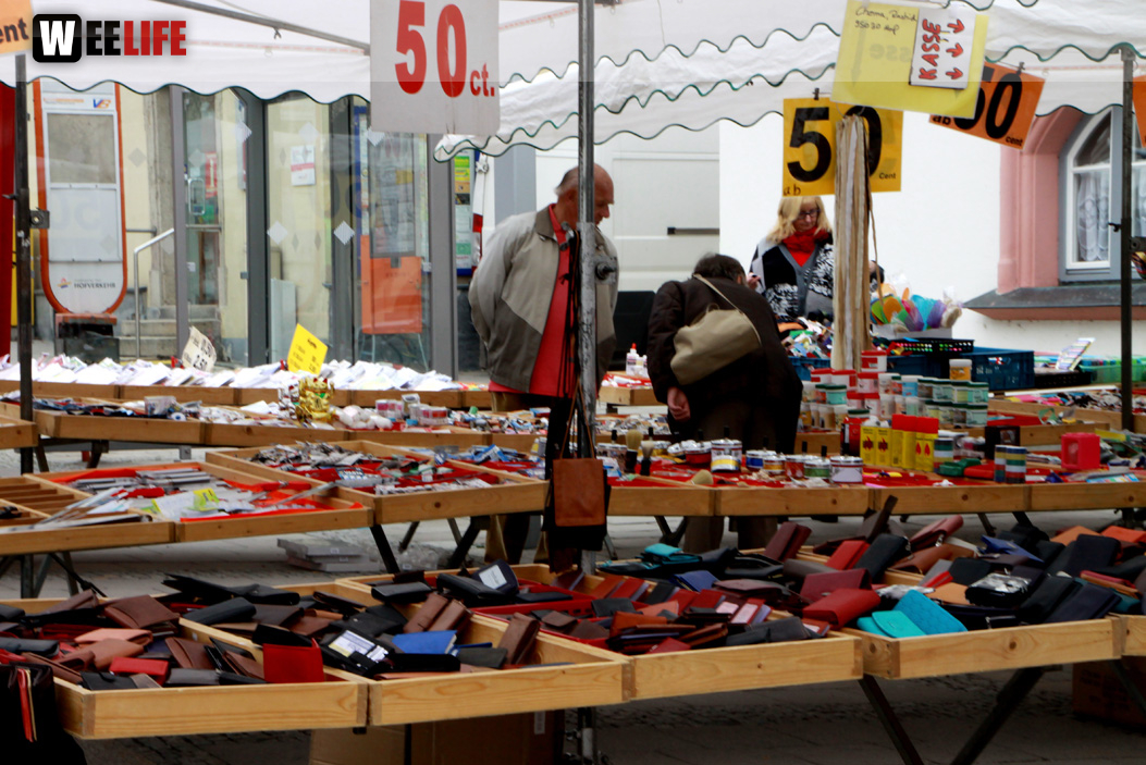 Hofer Frühling 2014 und Meastro Handwerkermarkt