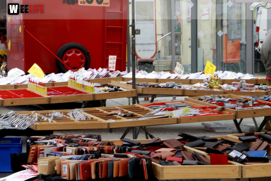 Hofer Frühling 2014 und Meastro Handwerkermarkt