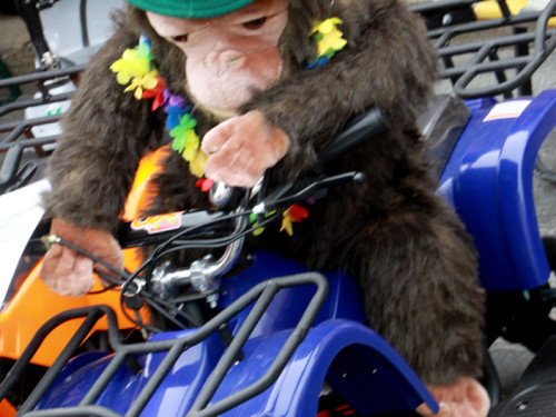 Hofer Frühling 2014 und Meastro Handwerkermarkt – Foto 46