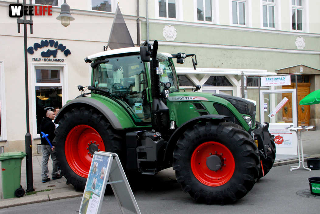 Hofer Frühling 2014 und Meastro Handwerkermarkt