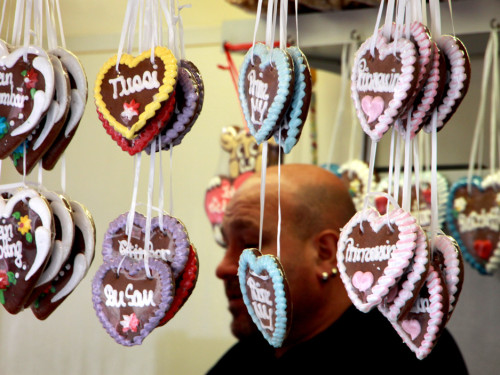 Hofer Frühling 2014 und Meastro Handwerkermarkt – Foto 57