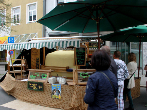 Hofer Frühling 2014 und Meastro Handwerkermarkt – Foto 61