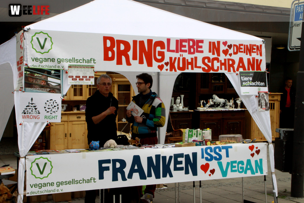 Hofer Frühling 2014 und Meastro Handwerkermarkt