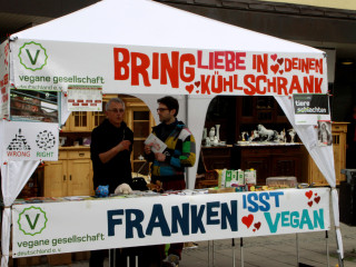 Foto 70251 im Album