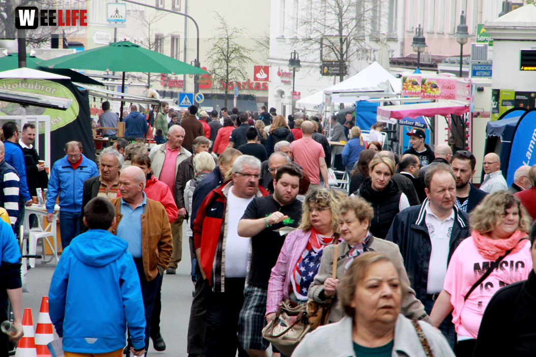 Hofer Frühling 2014 und Meastro Handwerkermarkt