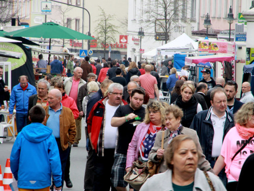 Hofer Frühling 2014 und Meastro Handwerkermarkt – Foto 79