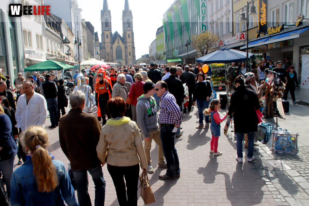 Hofer Frühling 2014 und Meastro Handwerkermarkt
