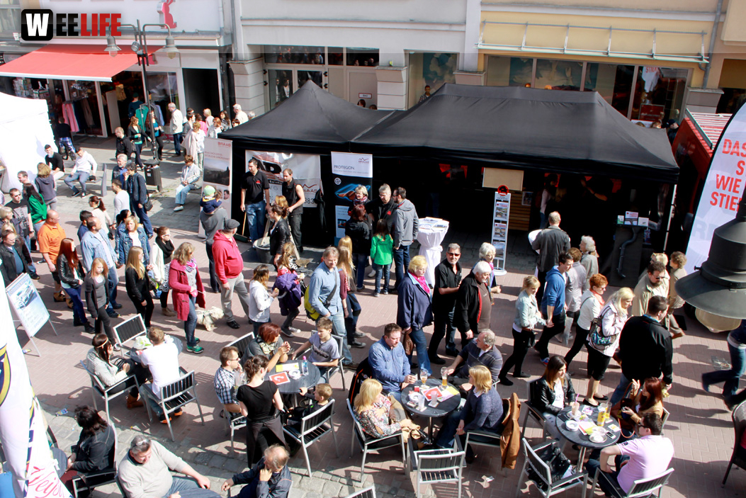 Hofer Frühling 2014 und Meastro Handwerkermarkt
