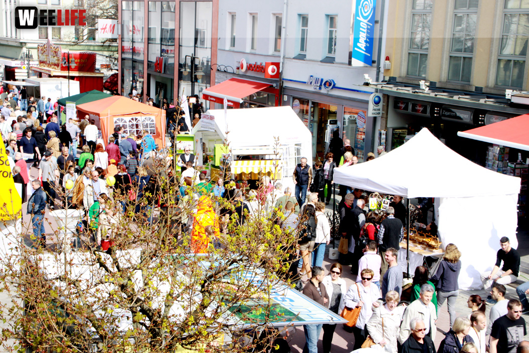 Hofer Frühling 2014 und Meastro Handwerkermarkt