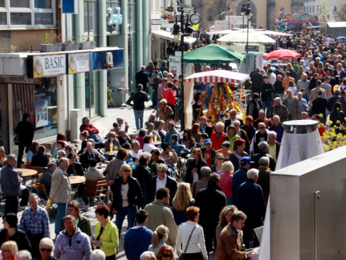 Hofer Frühling 2014 und Meastro Handwerkermarkt – Foto 16