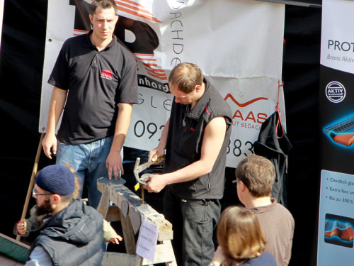 Hofer Frühling 2014 und Meastro Handwerkermarkt – Foto 19