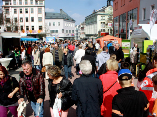 Hofer Frühling 2014 und Meastro Handwerkermarkt – Foto 21