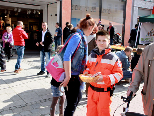 Hofer Frühling 2014 und Meastro Handwerkermarkt – Foto 24