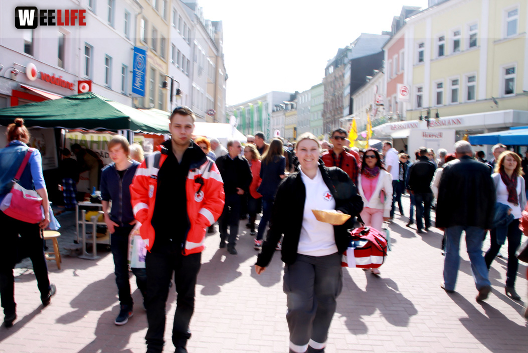 Hofer Frühling 2014 und Meastro Handwerkermarkt