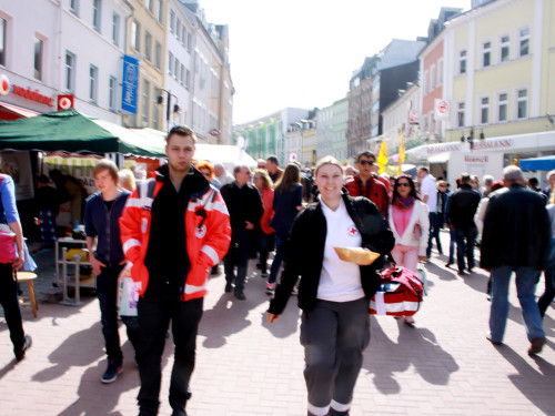 Hofer Frühling 2014 und Meastro Handwerkermarkt – Foto 25