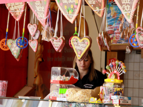 Hofer Frühling 2014 und Meastro Handwerkermarkt – Foto 26