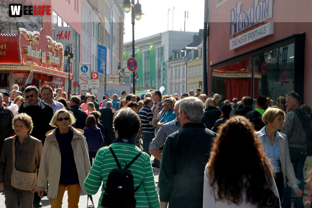 Hofer Frühling 2014 und Meastro Handwerkermarkt