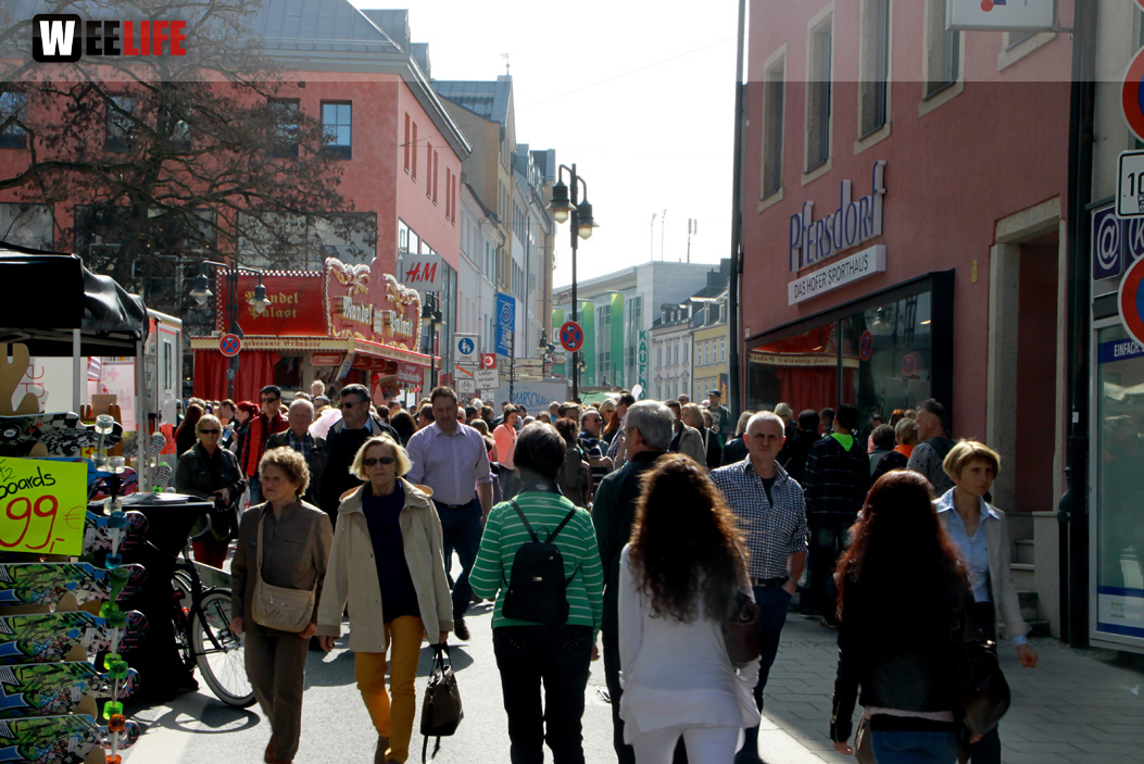 Hofer Frühling 2014 und Meastro Handwerkermarkt