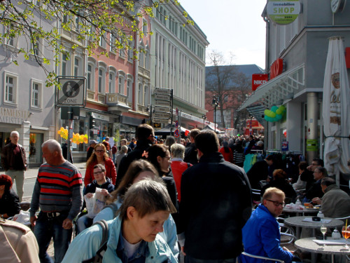 Hofer Frühling 2014 und Meastro Handwerkermarkt – Foto 36