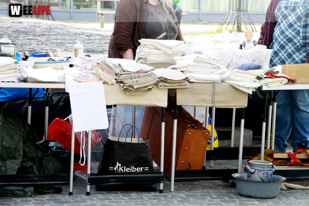 Hofer Frühling 2014 und Meastro Handwerkermarkt