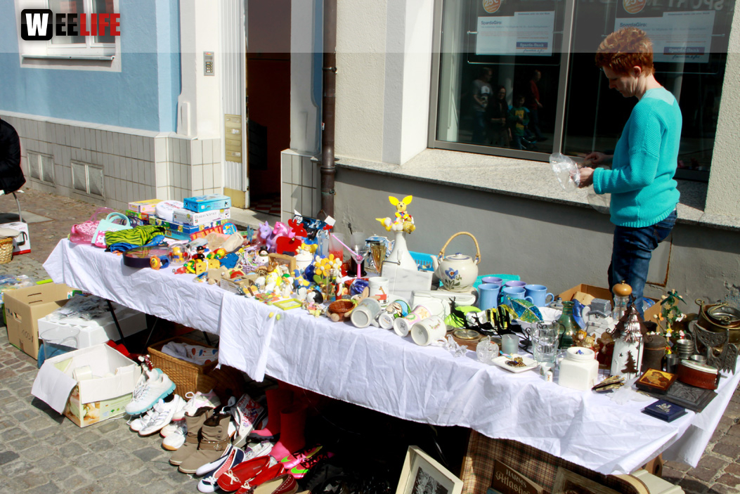 Hofer Frühling 2014 und Meastro Handwerkermarkt