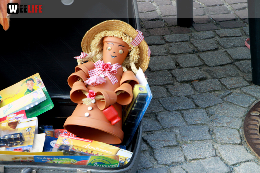 Hofer Frühling 2014 und Meastro Handwerkermarkt