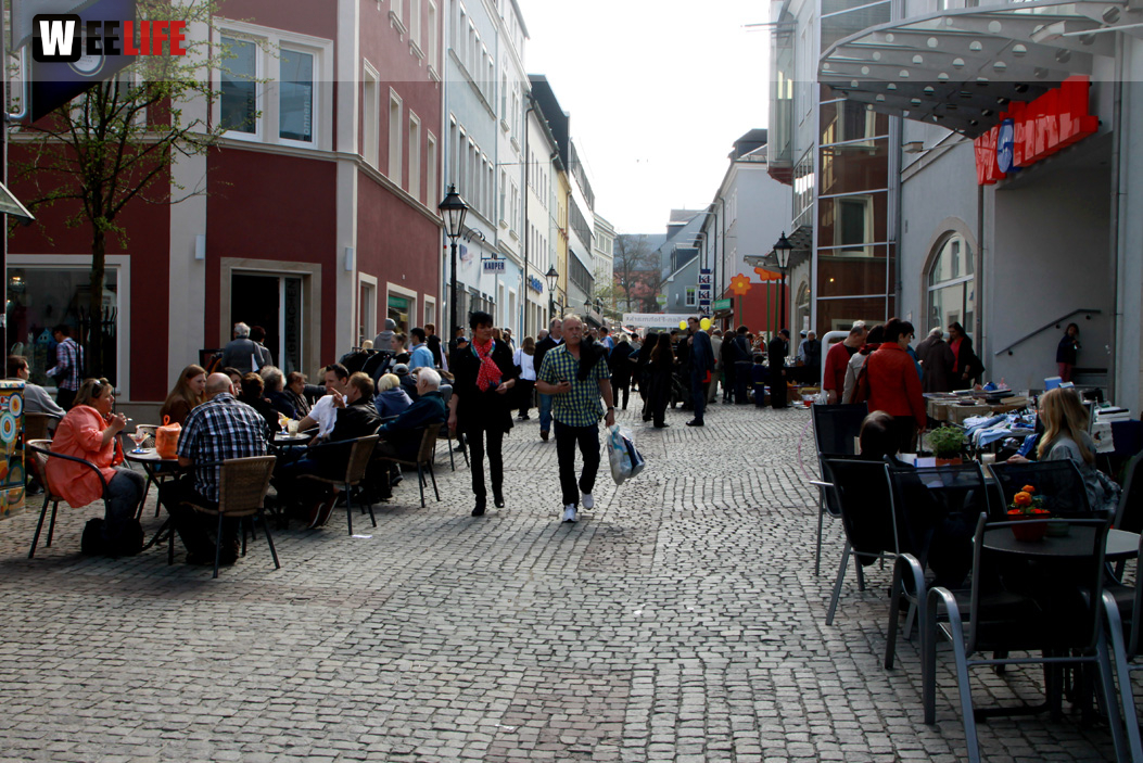 Hofer Frühling 2014 und Meastro Handwerkermarkt