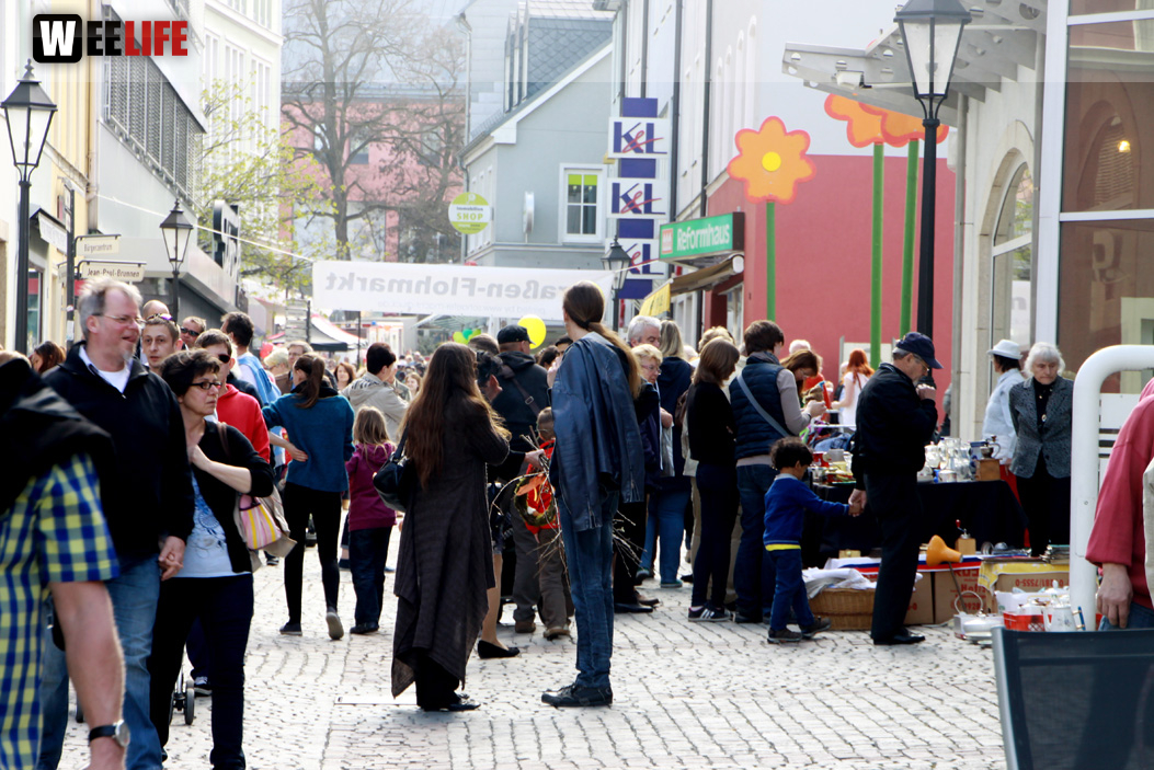 Hofer Frühling 2014 und Meastro Handwerkermarkt
