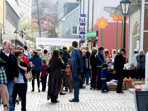 Hofer Frühling 2014 und Meastro Handwerkermarkt – Foto 53