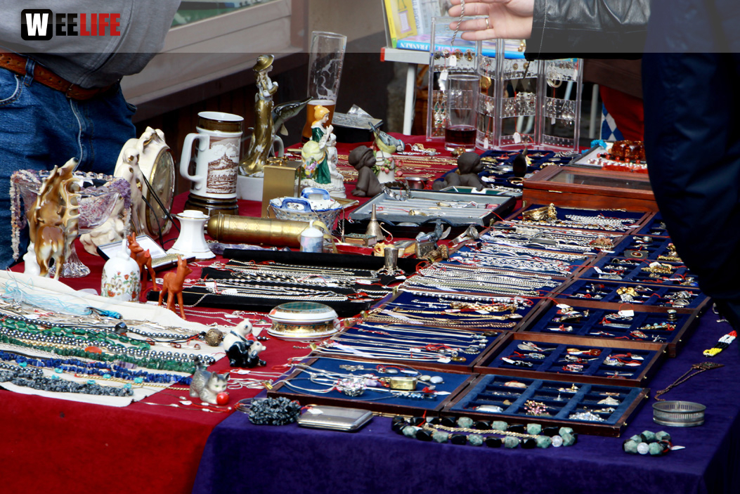 Hofer Frühling 2014 und Meastro Handwerkermarkt