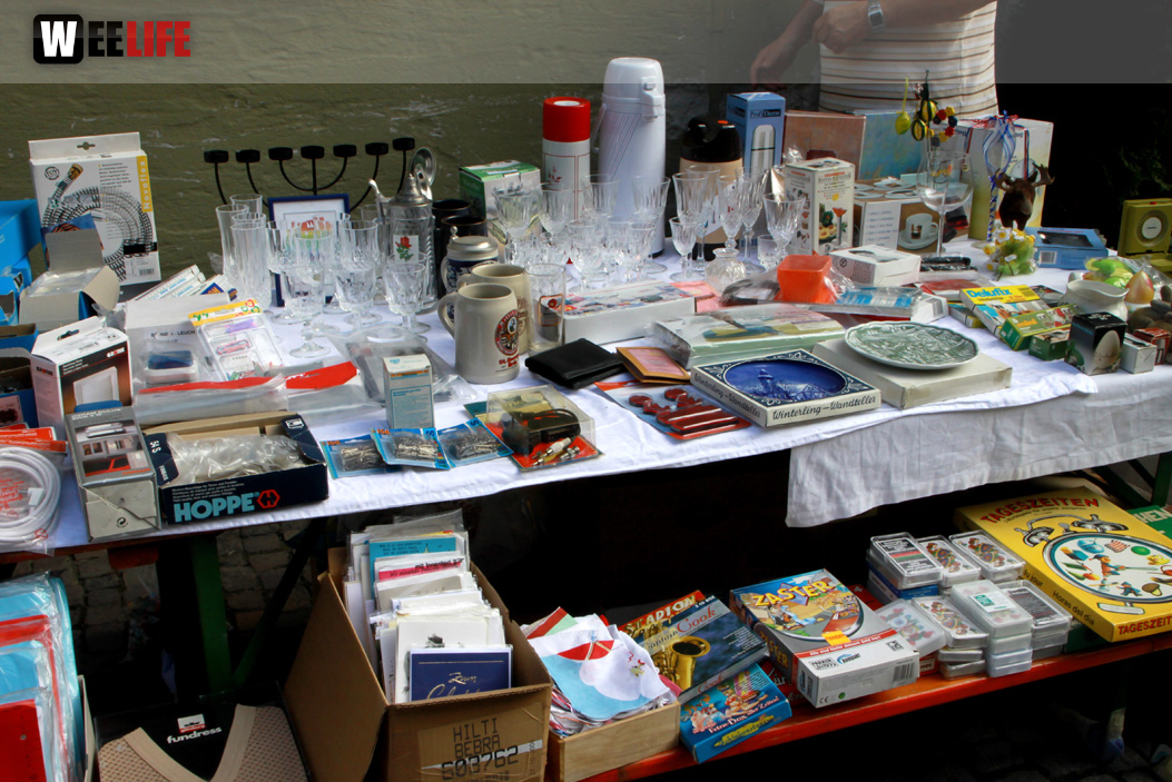 Hofer Frühling 2014 und Meastro Handwerkermarkt