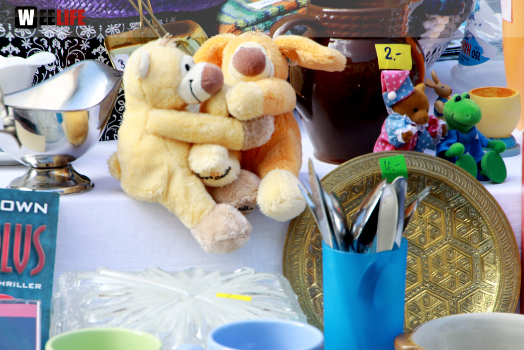 Hofer Frühling 2014 und Meastro Handwerkermarkt