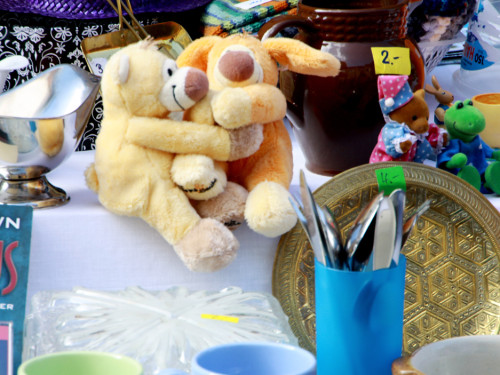 Hofer Frühling 2014 und Meastro Handwerkermarkt – Foto 57
