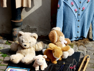 Foto 71011 im Album
