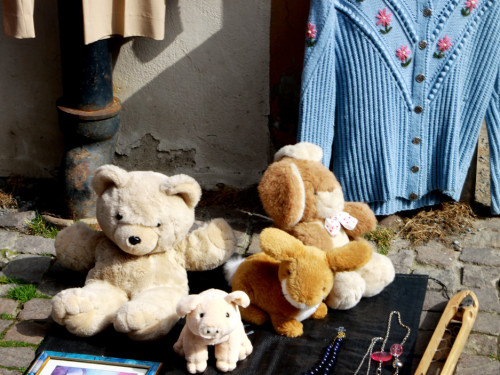 Hofer Frühling 2014 und Meastro Handwerkermarkt – Foto 58
