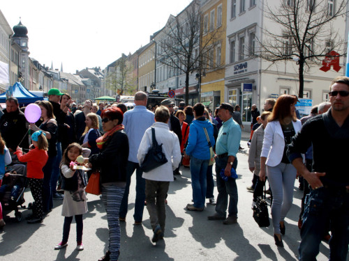 Hofer Frühling 2014 und Meastro Handwerkermarkt – Foto 65