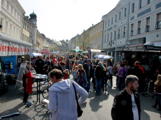 Foto 71049 im Album