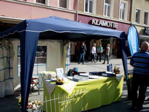 Hofer Frühling 2014 und Meastro Handwerkermarkt – Foto 107